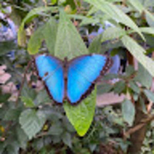 Meet your Posher, Nora